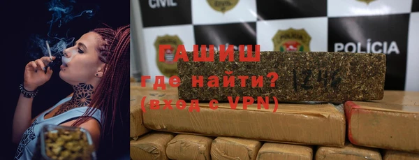 МДПВ Бородино