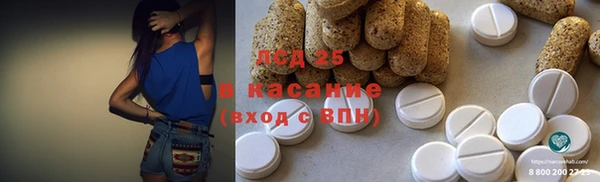 МДПВ Бородино
