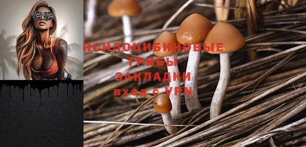 мдпв Бугульма