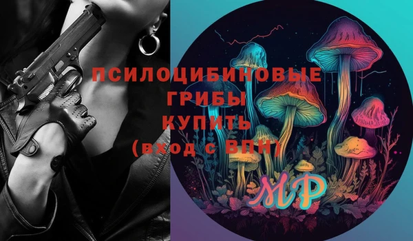 мдпв Бугульма