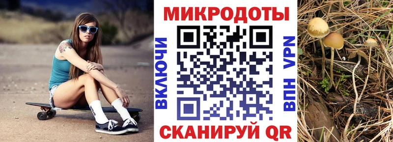 закладка  Горячий Ключ  Галлюциногенные грибы ЛСД 