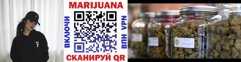 магазин    Горячий Ключ  kraken как войти  Шишки марихуана SATIVA & INDICA 
